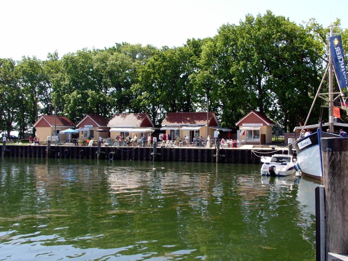 Fewo 102 Im Haus Katharina Mit Terrasse Lauterbach  Eksteriør billede